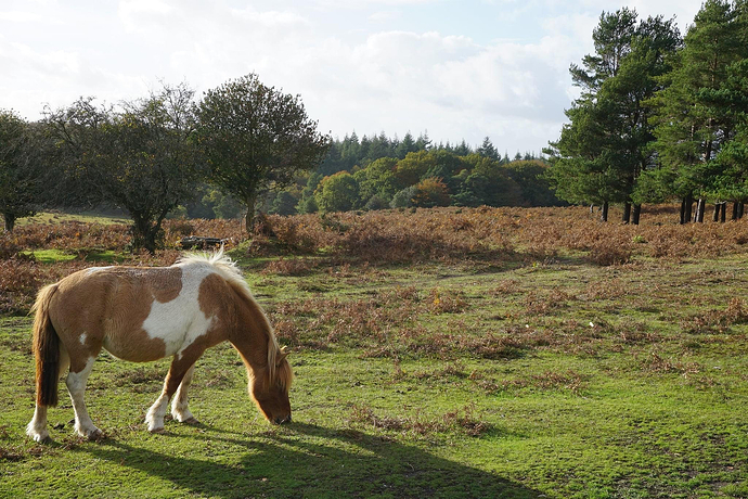 IMG_0180