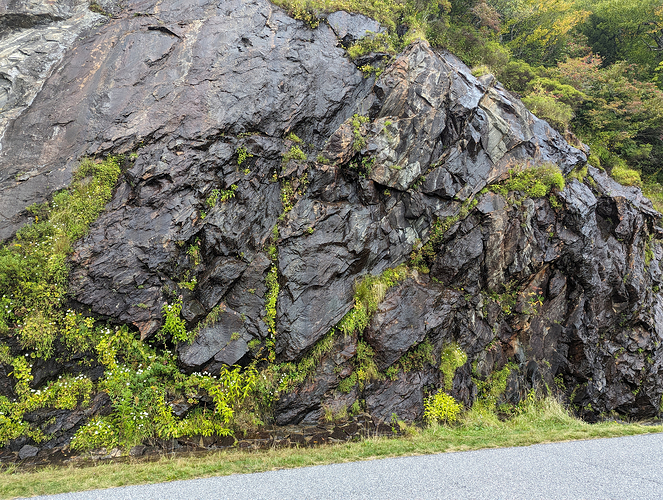 a partial view of the bog. It really is vertical, following the water down the rock face!